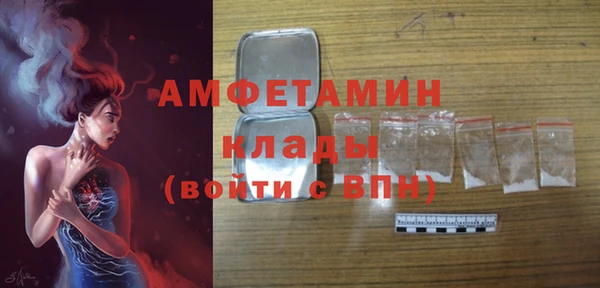 ГАЛЛЮЦИНОГЕННЫЕ ГРИБЫ Каменка