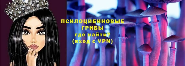бошки Каменногорск