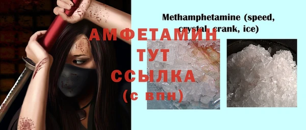 ГАЛЛЮЦИНОГЕННЫЕ ГРИБЫ Каменка