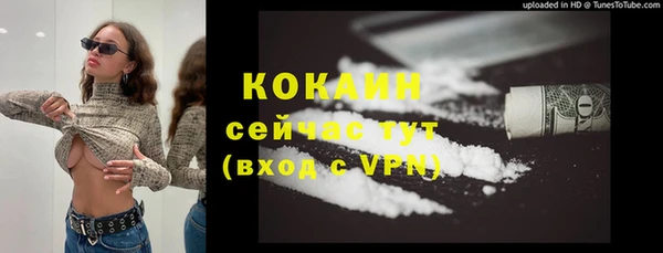 ГАЛЛЮЦИНОГЕННЫЕ ГРИБЫ Каменка