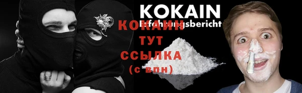 ГАЛЛЮЦИНОГЕННЫЕ ГРИБЫ Каменка