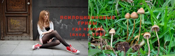 мескалин Каменск-Шахтинский