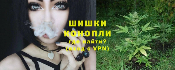 бошки Каменногорск