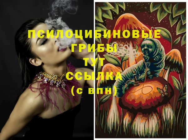 ГАЛЛЮЦИНОГЕННЫЕ ГРИБЫ Каменка